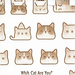 Який ти котик?